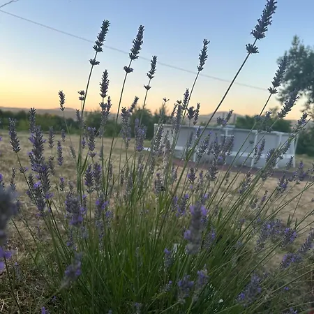 Imanje Kovacevic * Gornji Milanovac